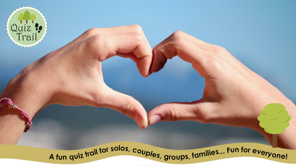 Top 10 Fun Date Ideas Beyond Dinner & a Movie!