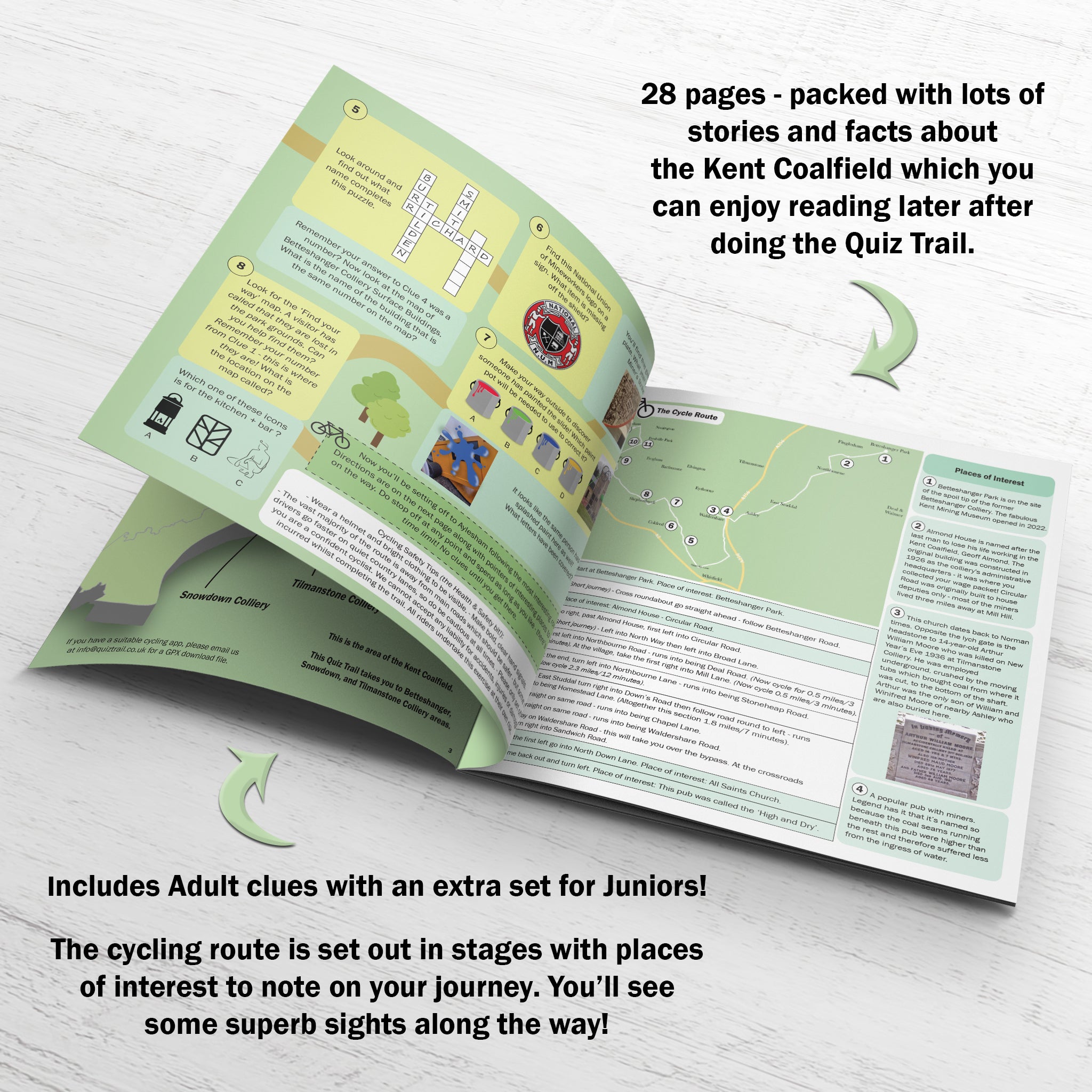 Is Ashwagandha Cycling Right For You?  Take This Quiz! - fib1rxs