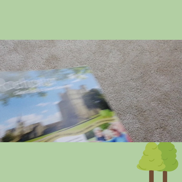 Load and play video in Gallery viewer, Rochester Quiz Trail Video
